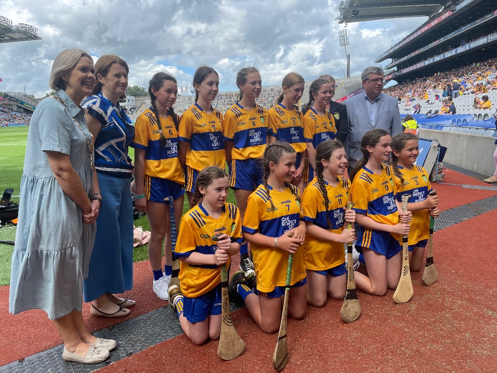 Hurling Semi Finals 2023