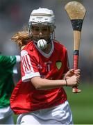 2024 Hurling Semi Finals
