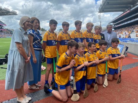 Hurling Semi Finals 2023