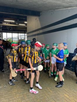 2023 All Ireland Hurling Final