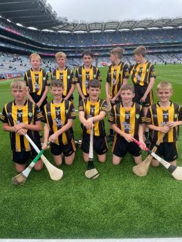 2023 All Ireland Hurling Final