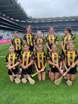 2023 All Ireland Hurling