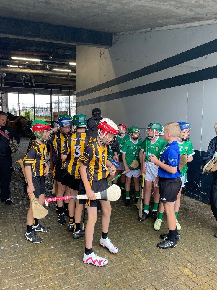 2023 All Ireland Hurling Final