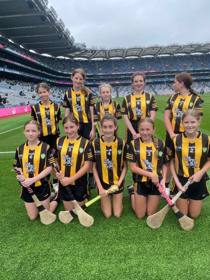 2023 All Ireland Hurling